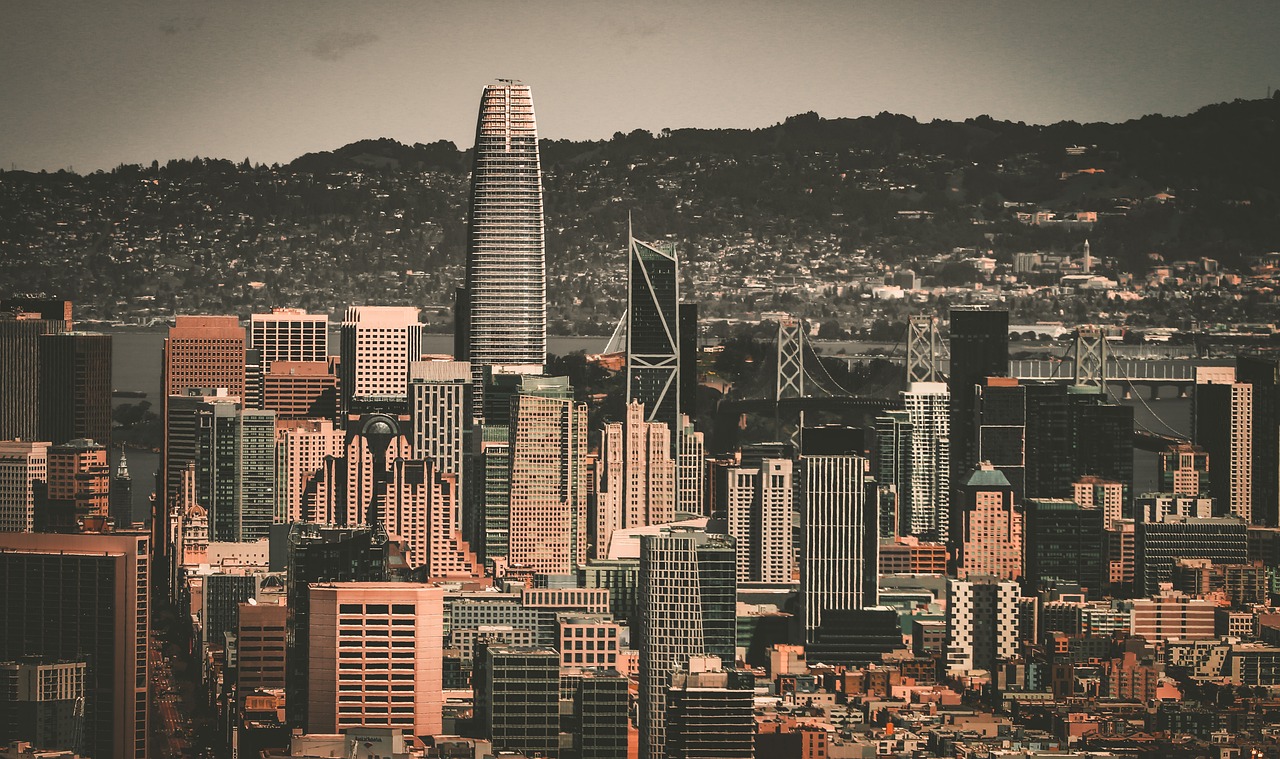 在国际视野 在国际视野