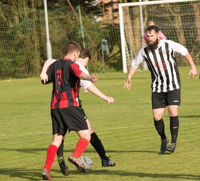 际篮球赛事 际篮球赛事