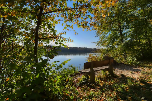 随着科技的 随着科技的