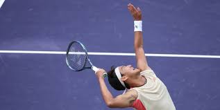 坚实的后盾 坚实的后盾